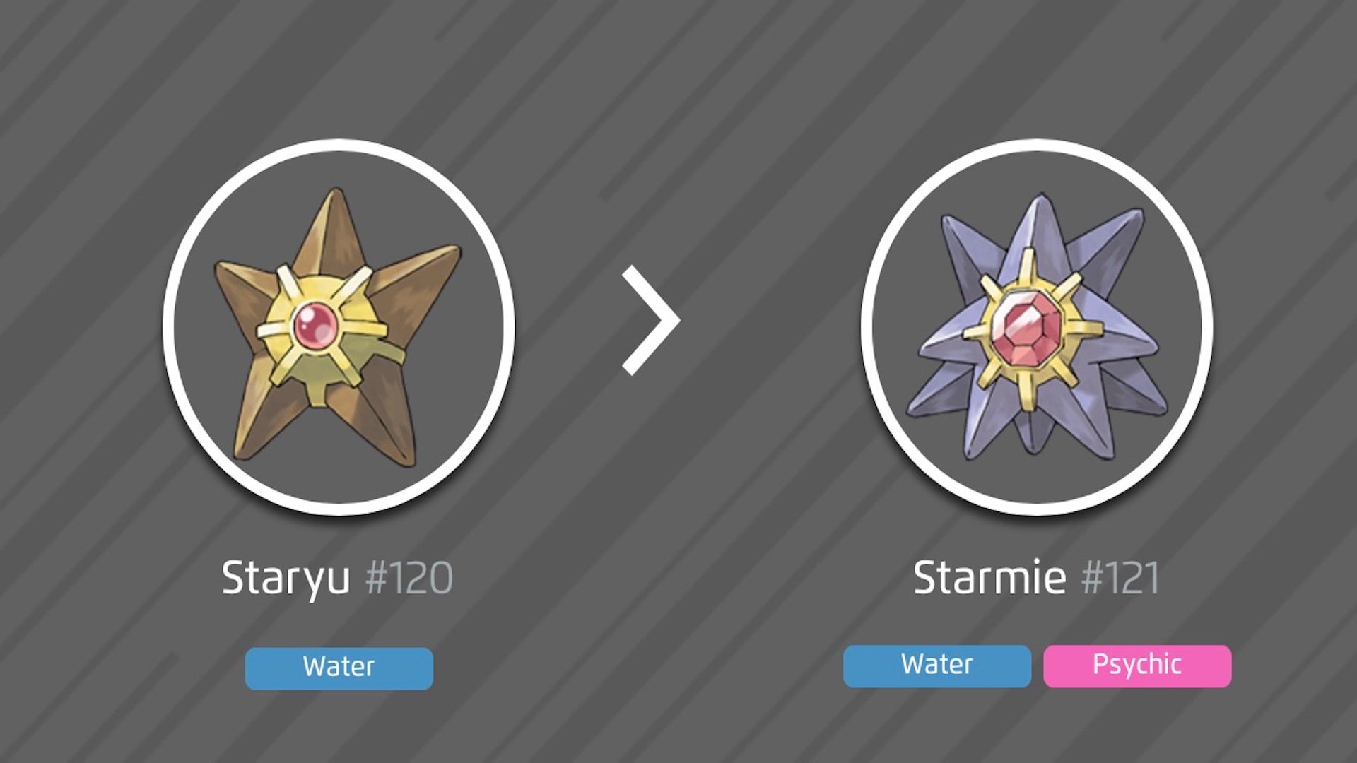 Staryu 100 excellent IV stats, shiny Staryu in Pokémon Go Gamerstail